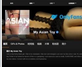 +P站up主My+Asian+Toy-国人与老外的羞羞事[10V/2.6GB]