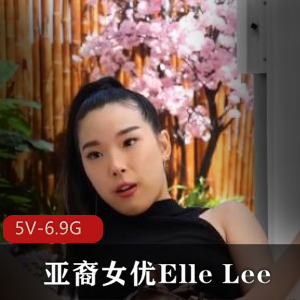 亚裔女Y-Elle Lee合集2 [7V-6.7G]